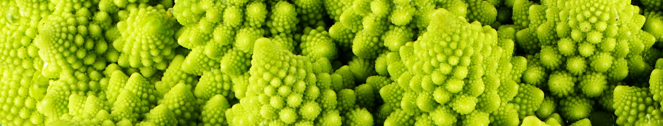 Chou romanesco en gros plan